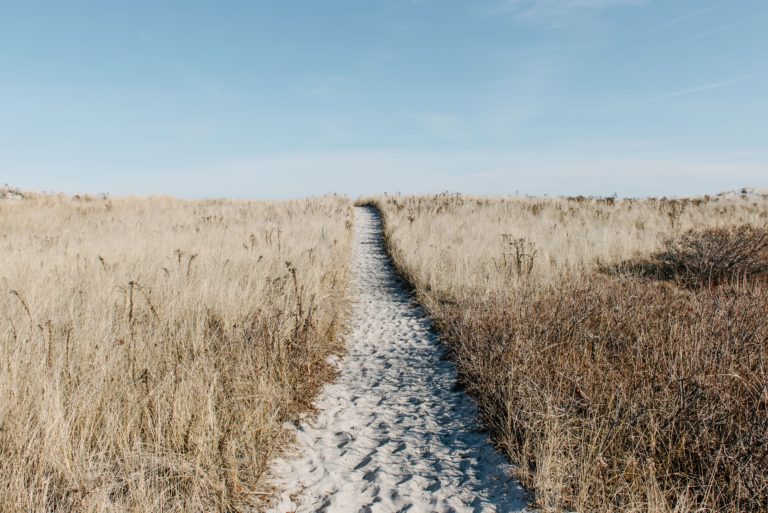 Foto: Alice Donovan Rouse on Unsplash